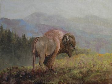 Misty Morning Solitude - American Bison by Betsy Popp