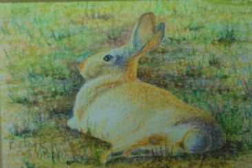 Sunny Bunny- SOLD - Cotton Tail Rabbit by Betsy Popp
