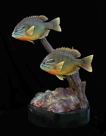 Passing Through - Pumpkinseed Sunfish by Betsy Popp