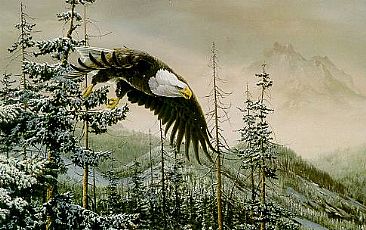 Heaven and Earth - Bald Eagle by Christopher Walden