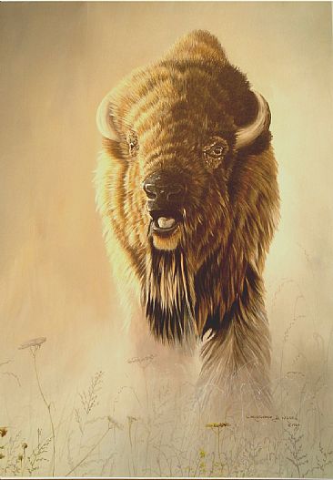 American Bison - American Bison by Christopher Walden
