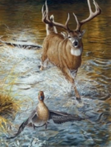 Tales of Twin Creek - Deer and Green Winged Teal by Christopher Walden