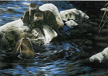 Tea for Three - River otters by Christopher Walden