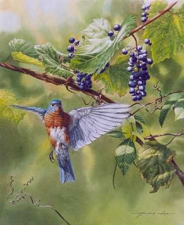 Autumn's Fruit - Bluebird and Grapes by Arnold Nogy