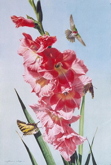 Gladiola Garden - Gladiolas, Hummingbird and Butterflies by Arnold Nogy