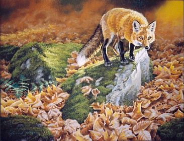 Morning Hunt - Red Fox by Arnold Nogy