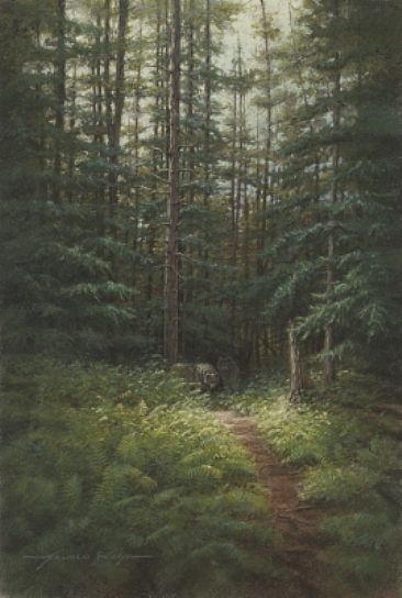 Trail Companions - Timber Wolf on Algonquin Park Trail by Arnold Nogy