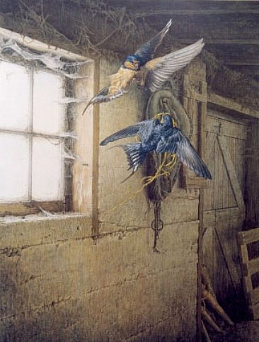 Aerial Ballet - Barn Swallows by Arnold Nogy