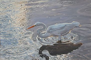 Circles Of Light - Great Egret Fishiing by Mary Louise O'Sullivan