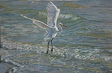 Egret In Surf - A great egret fishing at the edge of the ocean. by Mary Louise O'Sullivan