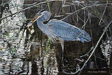 Great Blue Heron With Fish - A great Blue Heron holds up his catch. by Mary Louise O'Sullivan