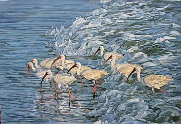 Ibis in Surf - Sanibel - A flock of Ibis strolling in the waves by Mary Louise O'Sullivan