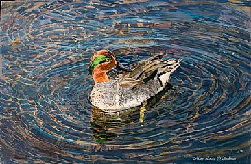 Green Winged Teal -  by Mary Louise O'Sullivan