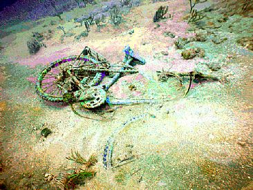 End of the Road - Bicycle on coral reef after Hurricane Frances by Karen Fischbein