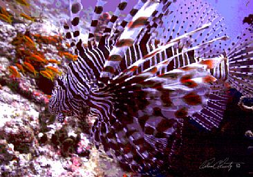 Winged Beauty - Lionfish from the Maldives by Karen Fischbein