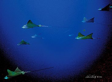 Wings - Spotted Eagle Rays by Karen Fischbein