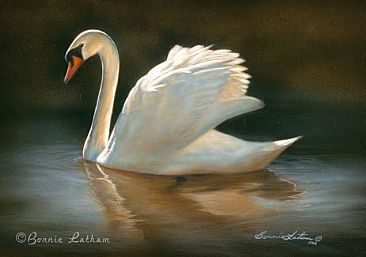 Ambiance - Mute Swan - Mute Swan by Bonnie Latham