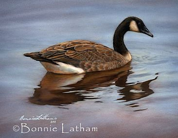 Canadian Goose -  by Bonnie Latham