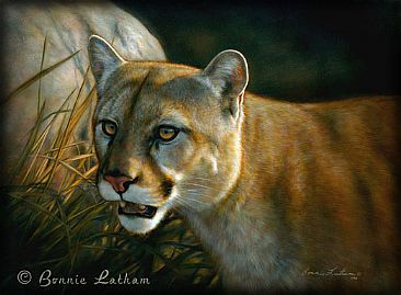 Cougar -  by Bonnie Latham