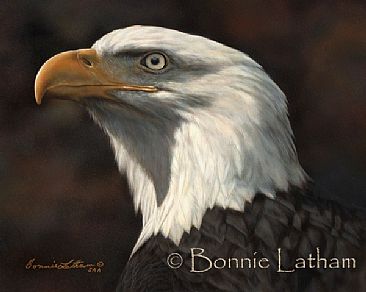 American Bald Eagle -  by Bonnie Latham