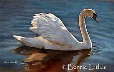 Mute Swan - Mute Swan by Bonnie Latham