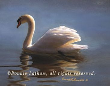 Morning Beauty - Mute Swan by Bonnie Latham