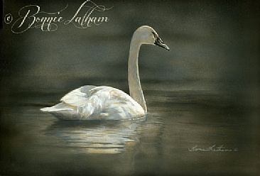 Trumpeter Swan - Trumpeter Swan by Bonnie Latham