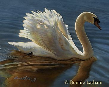 Tranquility - Mute Swan by Bonnie Latham