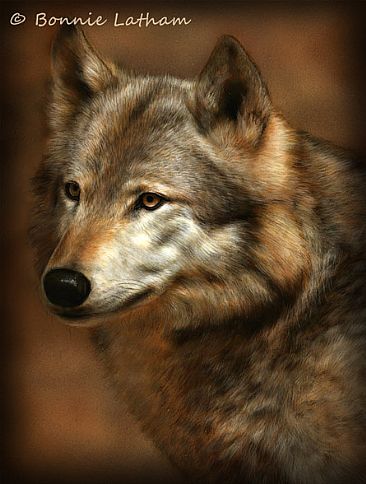 Wolf -  by Bonnie Latham