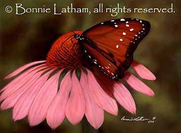 Queen Butterfly -  by Bonnie Latham