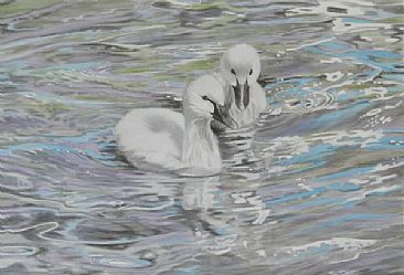 Grey Day - Black Swan Cygnets by Sandra Temple