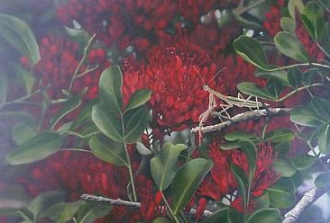 Red Glow - Scottia tree and Titan stick insect by Sandra Temple