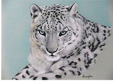 Snow Queen - Snow Leopard (endangered) by Sandra Temple