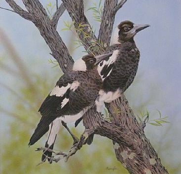 Black and White - Young magpies by Sandra Temple