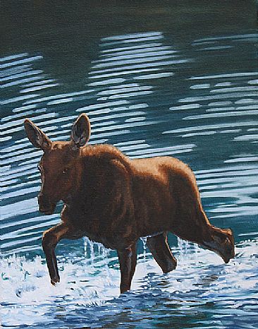 First Bath - Baby Moose - Baby Moose by Kitty Whitehouse