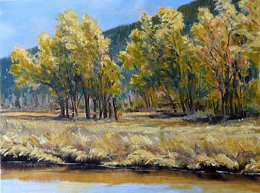 Lamar Valley Summer - Cottonwoods in Yellowstone's Lamar Valley by Kitty Whitehouse