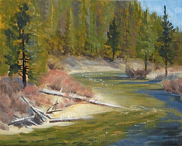 Spanish Creek - Montana creek in sunlight by Kitty Whitehouse