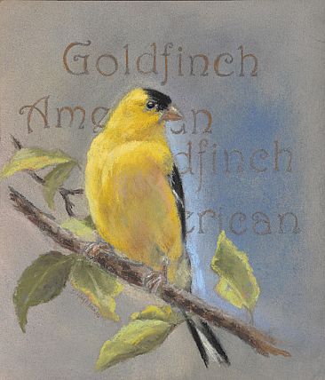 American Goldfinch - American Goldfinch by Debbie Hughbanks