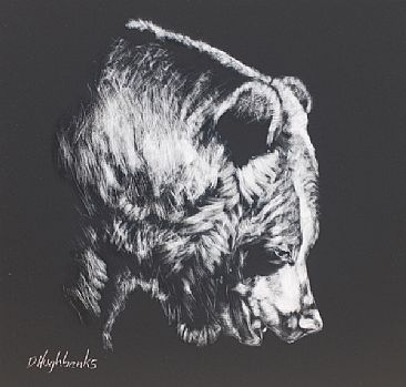 Bruin - bear by Debbie Hughbanks