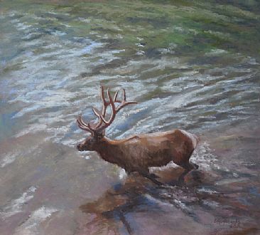 Elk River Freeform - Elk  by Debbie Hughbanks