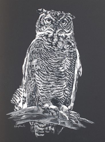Night Owl - perched owl by Debbie Hughbanks