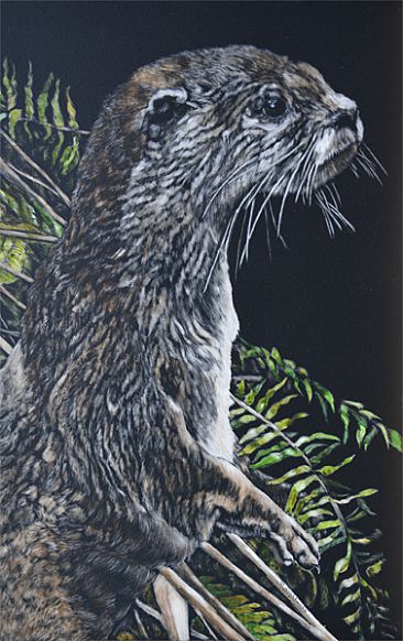 On the Alert - otter by Debbie Hughbanks