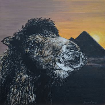 Out of Egypt - camel by Debbie Hughbanks