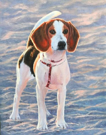 First Time at the Beach - Beagle pup at dog beach by Sally Berner