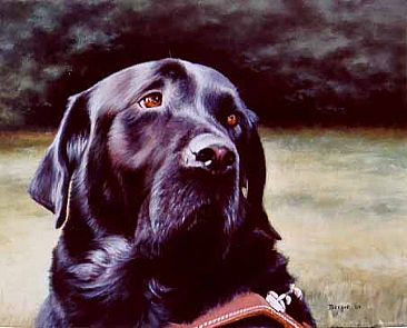 Lars - A Guide Dog - Black Labrador Guide Dog by Sally Berner