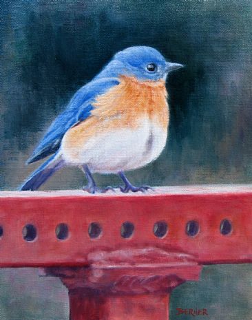 Happiness - Bluebird -  by Sally Berner
