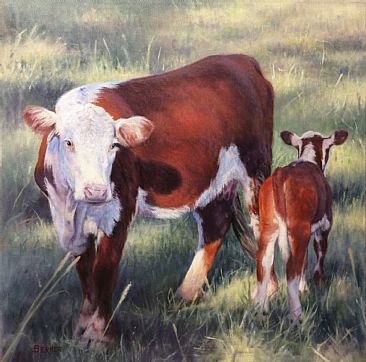 Heads or Tails  - Hereford and calf by Sally Berner