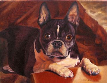 Boston Terrier - SOLD - Dog Commission by Sally Berner