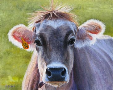 Cowlick - SOLD - Cow by Sally Berner