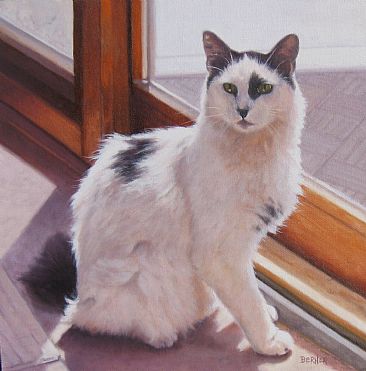 John's Cat - Cat sitting in the sun by Sally Berner